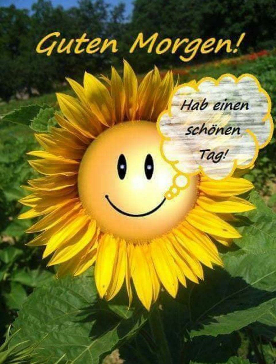 Sonnigen Guten Kostenloser Pruchol