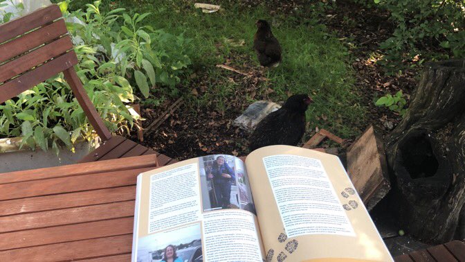 "It’s hard, the idea of accepting weakness, the sense that you are a finite individual with limited abilities“ i can relate as I sit with the chickens &amp; my arm in a cast with this straight talking &amp; humble article from <a href="/Intrepid_AdvMag/">Intrepid Magazine</a>#onewomanwalks #womeninadventure