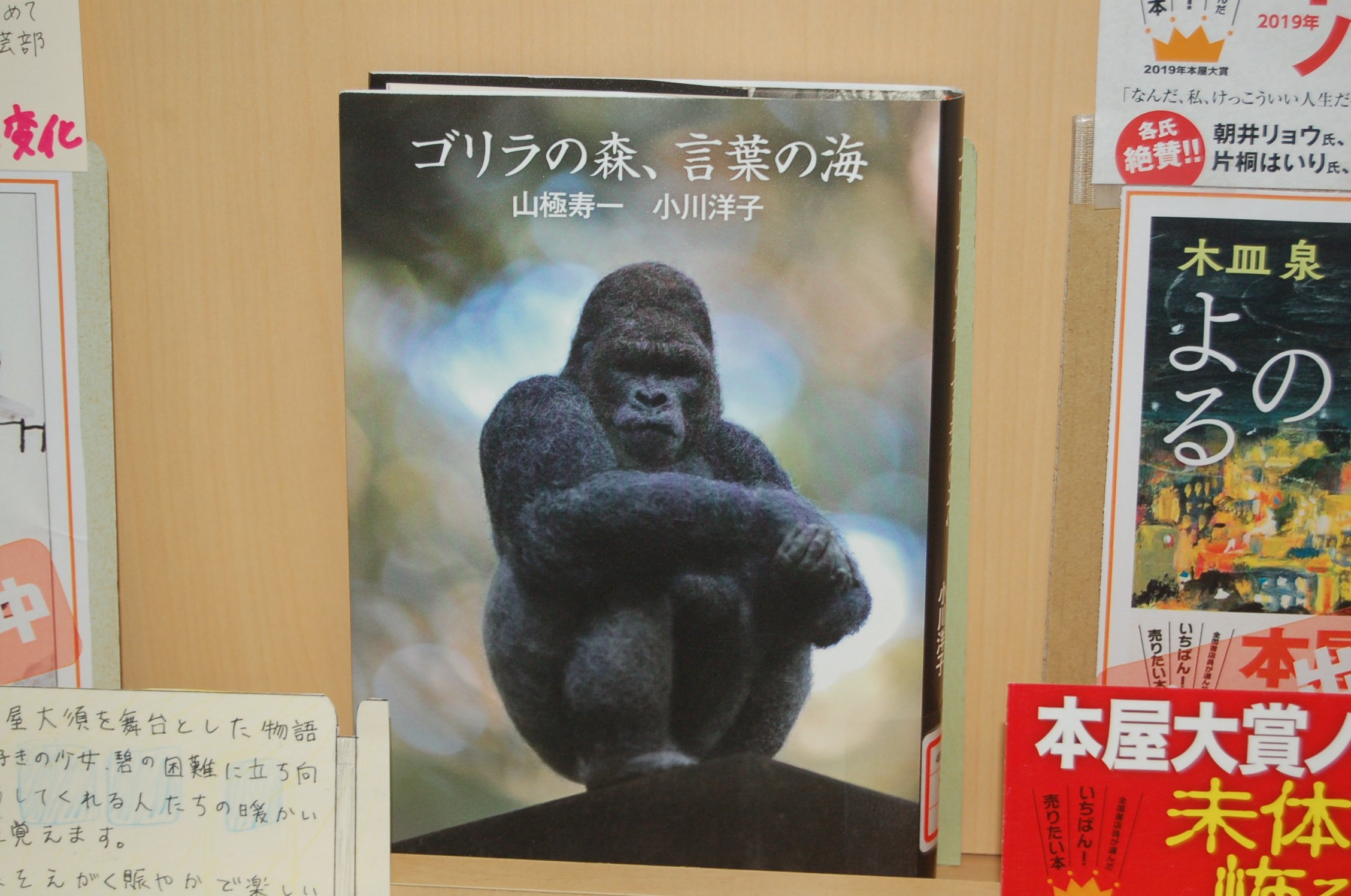 八戸学院図書館 八戸学院図書館 新着情報 ゴリラの森 言葉の海 山極 寿一 著 小川 洋子 著 新潮社 を 旬 コーナーに配架しました T Co C0bztczi7b Twitter
