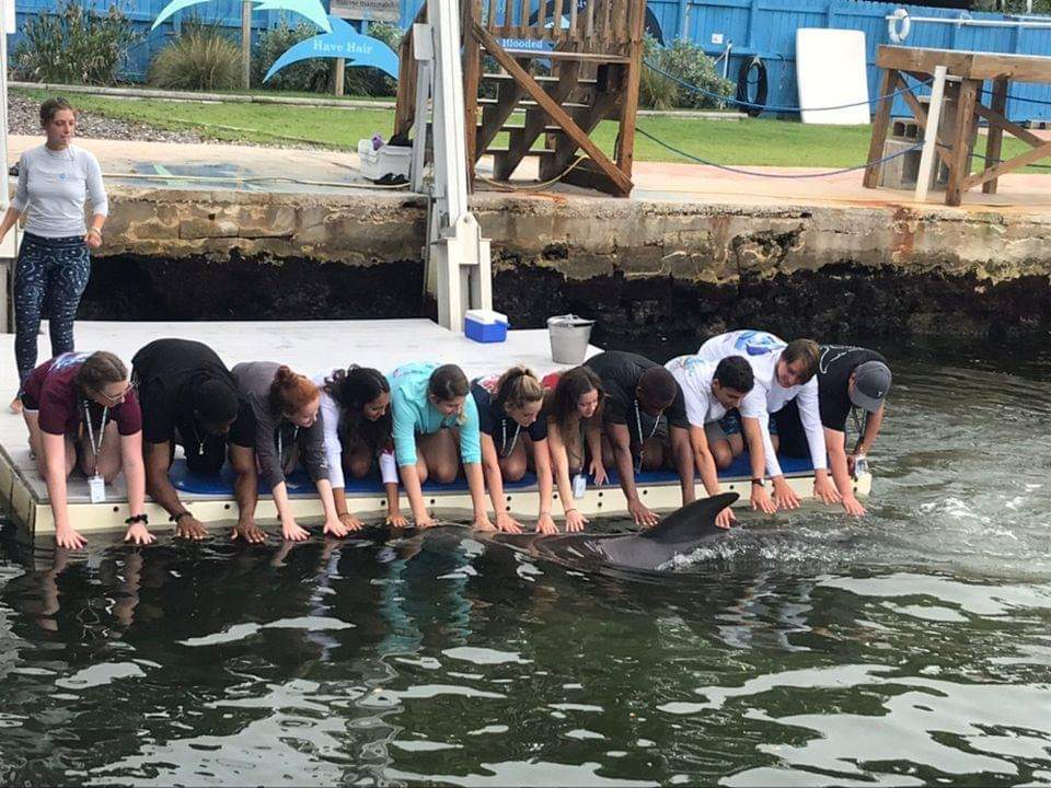 spunkeysox's tweet photo. When your son is away for 3 weeks and all you get was a candid shot of him touching a dolphin. #UMiamiSSP https://t.co/ow5qjpnHnS