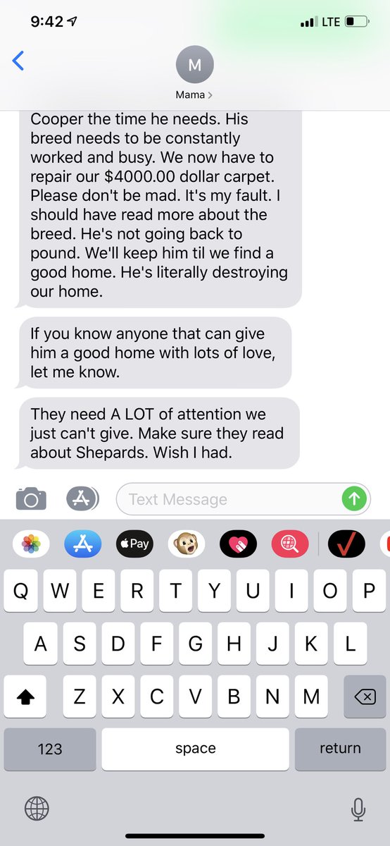 kls711's tweet photo. I’m completely heart broken.. if anyone can care for my Coop please get ahold of me. I would take him from my parents, but I live in a tiny apt. at Purdue and i could never do that to him. Not the news I wanted. He’s beautiful &amp; has a good temperament. 💔 https://t.co/jVe5p9yjq6