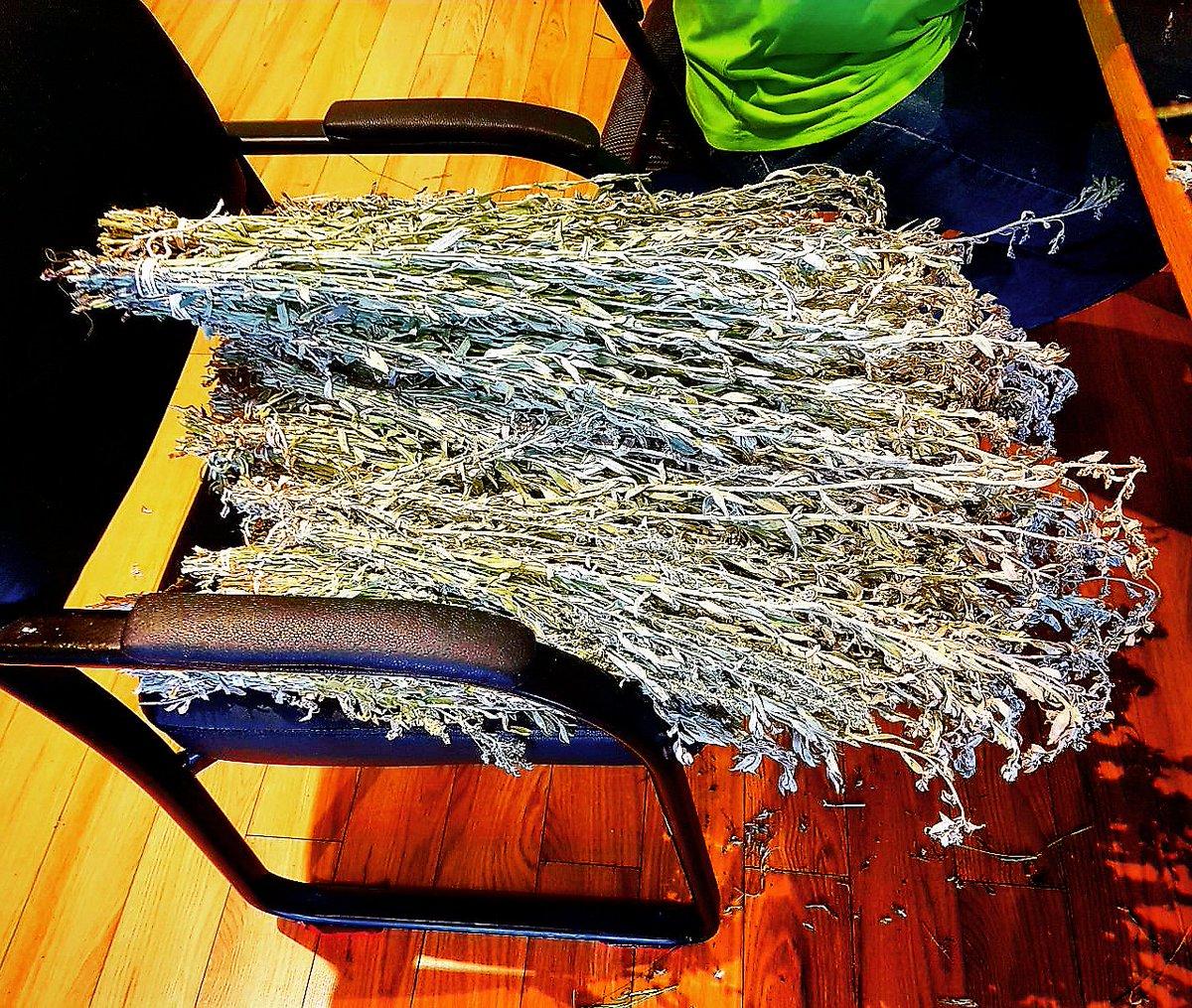 Ntawnis's tweet photo. Stopped by #PrairieSpirit today &amp; saw 3 men making #sage bundles that they picked here in #Sask
So awesome to see our #IndigenousMen creating medicines for their community🙏🏾💙
I was told their men's group go to monthly sweats &amp;ceremonies
Smelled so lovely there today aww hiyhiy💖 https://t.co/uGdZnlD8IS