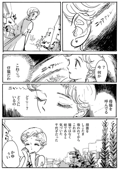 千代子と首里

千代子の耳 