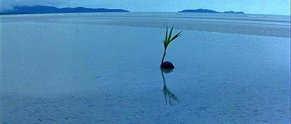 La Ligne Rouge - Terrence Malick (1998)