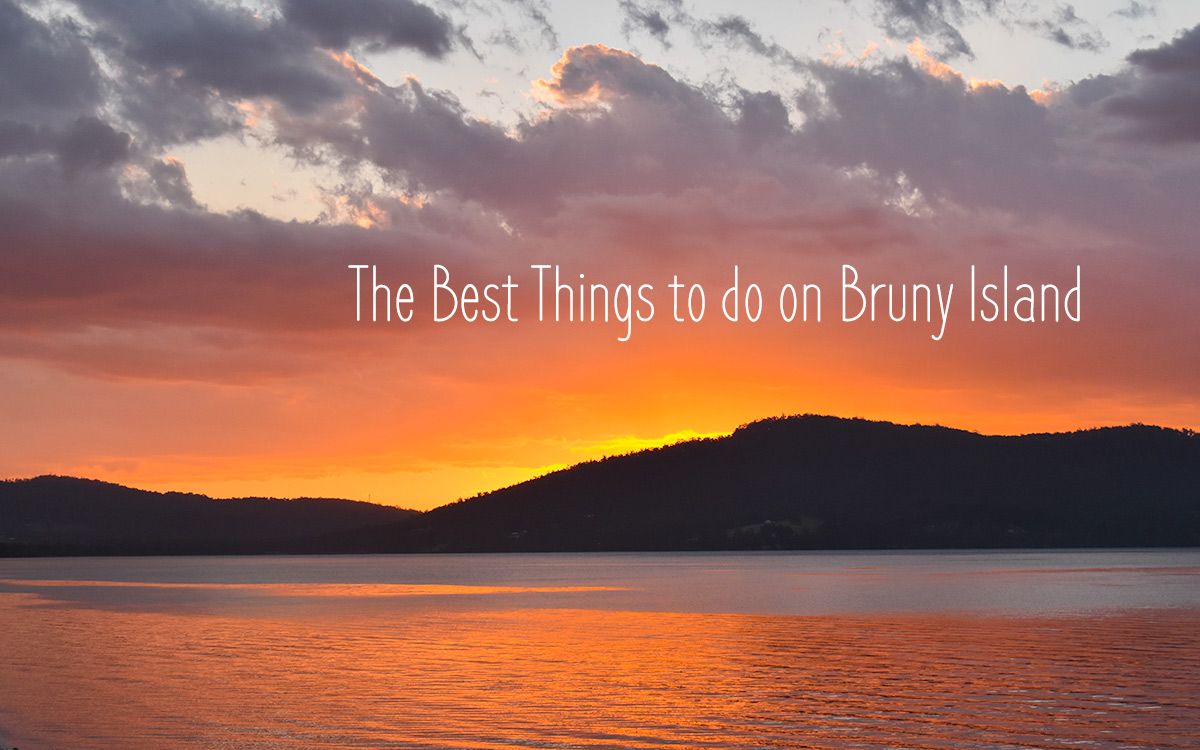 TrimmTravels's tweet photo. Recently, I discovered the wild and wonderful Bruny Island. While I was there, I discovered there are many things to do on Bruny Island.
#lesterlost #tasmania #brunyisland https://t.co/8gyCIkGMPu via @danine_sydney https://t.co/35xeNnbE66