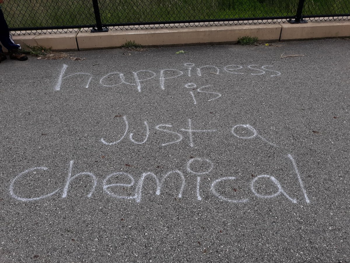 FunBucker's tweet photo. The bike path has spoken https://t.co/ixKaOLzD3J