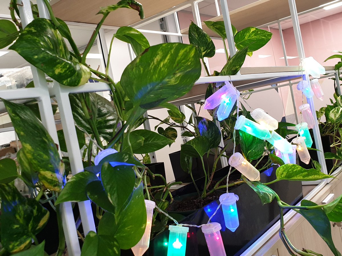 dragonflymsngr's tweet photo. @Eppendorf_AG It must be Christmas in July for #Eppendorf in #Australia it sure is cold enough! 🥶
Are they the NEW 25mL Conical Tubes? Ask for your free sample.
https://t.co/9Weym6c0WO
#NextLevel #consumables #eppi #conicaltubes #25mL #Eppendorf #ChristmasInJuly https://t.co/AhfLptCDt4