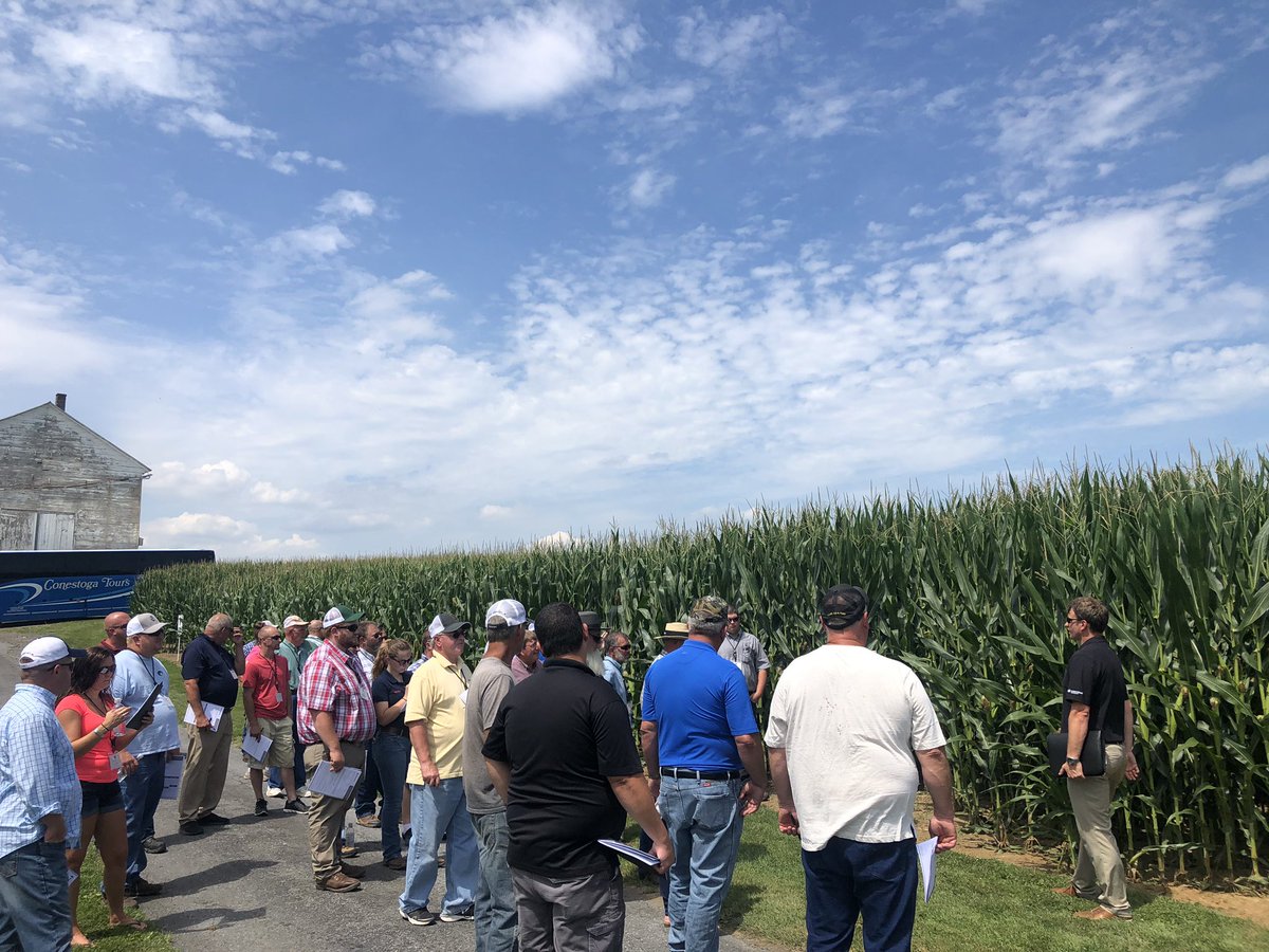 SeedConsultants's tweet photo. What a great plot tour! You’ll travel a lot of miles to find crops looking this good! 💯🌽🇺🇸 #MySeedConsultants #SeedConsultants #ScoutingFields @EnlistOnline https://t.co/NjLzF5wLJU