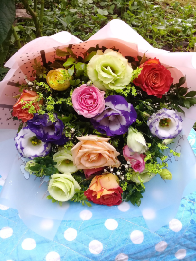 judieuthu's tweet photo. Lăn xả là khi dám dùng chăn làm khăn chải bàn....🤣🤣🤣. Nhìn bé Hướng Dương 🌻🌻🌻 to đùng chà bá kia có thấy cute không mn ơi ⁉️
#Surij https://t.co/scC5djSOOi