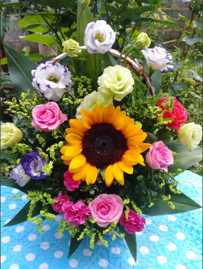 judieuthu's tweet photo. Lăn xả là khi dám dùng chăn làm khăn chải bàn....🤣🤣🤣. Nhìn bé Hướng Dương 🌻🌻🌻 to đùng chà bá kia có thấy cute không mn ơi ⁉️
#Surij https://t.co/scC5djSOOi