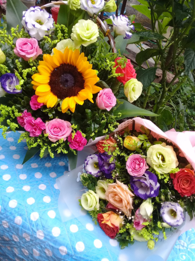 judieuthu's tweet photo. Lăn xả là khi dám dùng chăn làm khăn chải bàn....🤣🤣🤣. Nhìn bé Hướng Dương 🌻🌻🌻 to đùng chà bá kia có thấy cute không mn ơi ⁉️
#Surij https://t.co/scC5djSOOi