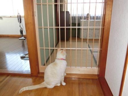 和室リフォーム本舗 Wasitu Reform Twitter