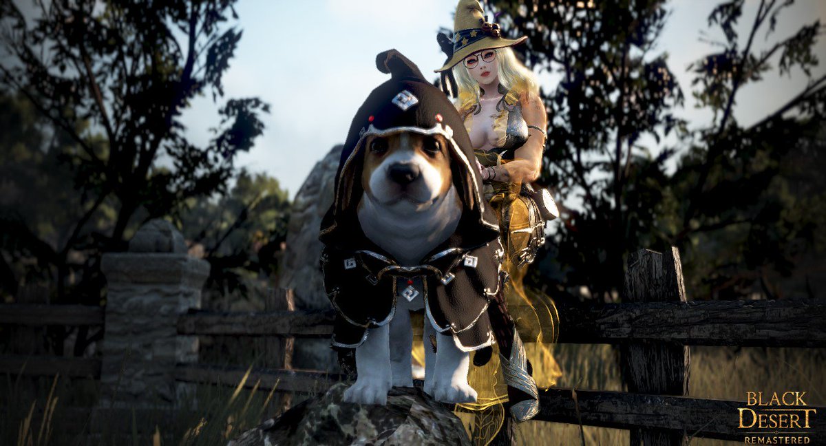 LudlowSigyn's tweet photo. Welcome to "Armand d'Athos". 🐶🐕
#Blackdesertremastered #BDORemastered #BDO #BlackDesert #bdopets #BDOScreentography #BDOScreenshot #BDOMemories #BDOPhotoshoot #blackdesertonline #blackdesert #mmo #pcgaming #gaminggirls #BDOWitch #BDOSA https://t.co/QkpWKNMT8I