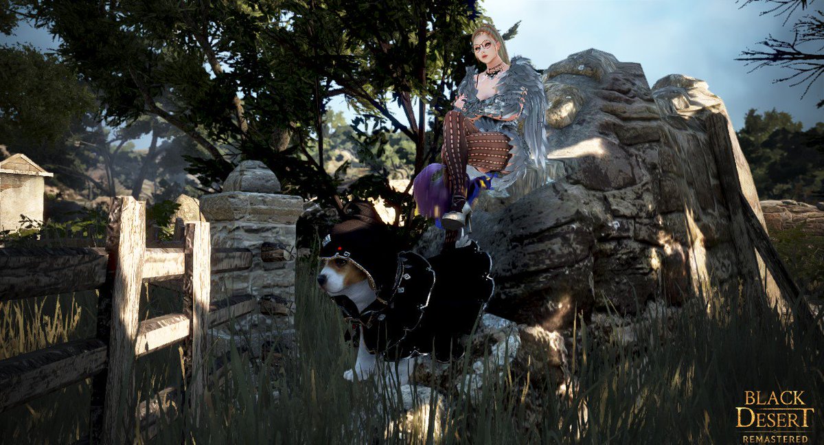 LudlowSigyn's tweet photo. Welcome to "Armand d'Athos". 🐶🐕
#Blackdesertremastered #BDORemastered #BDO #BlackDesert #bdopets #BDOScreentography #BDOScreenshot #BDOMemories #BDOPhotoshoot #blackdesertonline #blackdesert #mmo #pcgaming #gaminggirls #BDOWitch #BDOSA https://t.co/QkpWKNMT8I