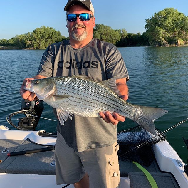 DustinFavinger's tweet photo. The problem with catching one of these...you only want more!
@WalleyeNationCreationsllc #ShakyShad #Cabelas #ItsInMyNature #NitroBoats #MercuryMarine #GoBoldly #Lowrance @LakeBigMacSpoiled #MacksLures https://t.co/dCIpKRNBwc https://t.co/etvQcfysV5