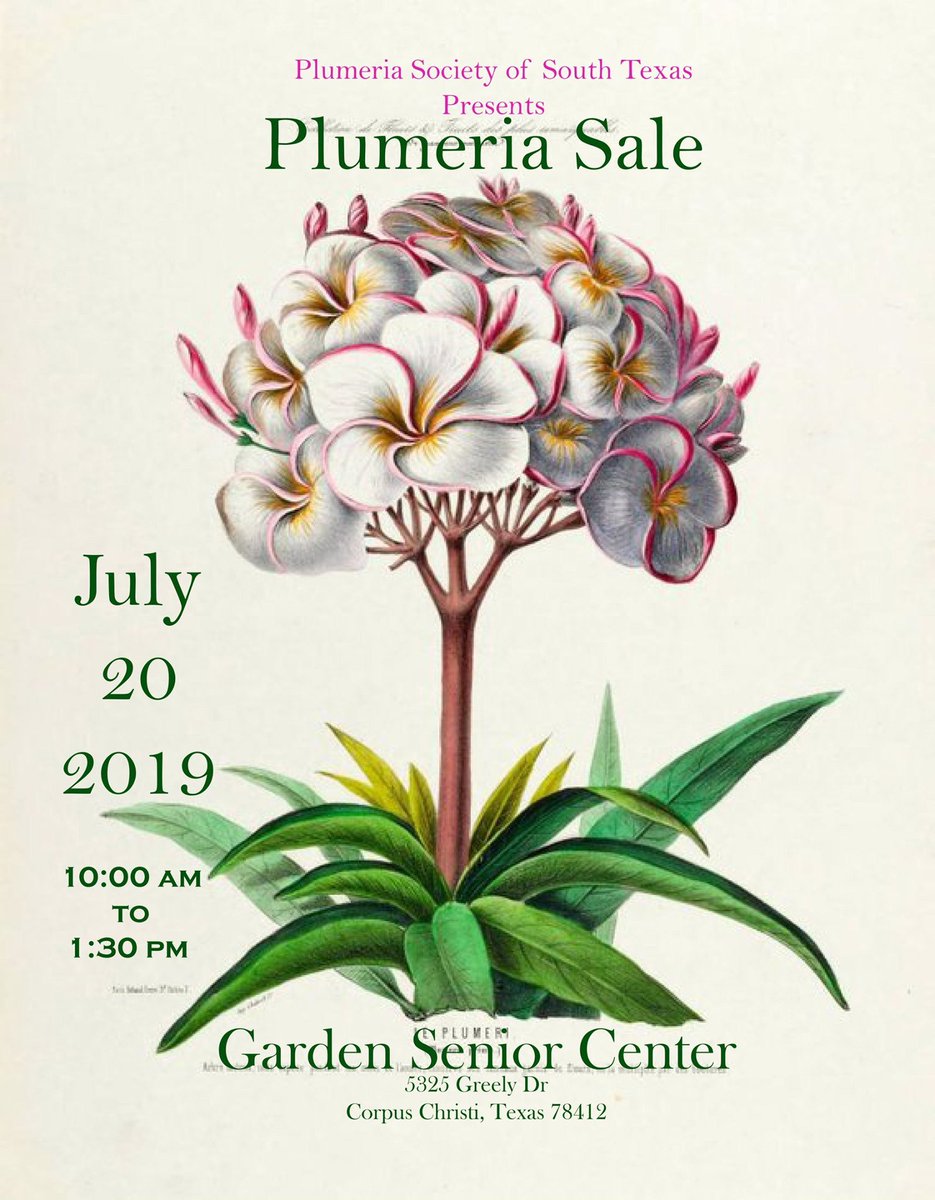 psstcorpus's tweet photo. The Plumeria Society of South Texas presents the annual plumeria show and sale on July 20th, 2019 at 10 am.  Garden Senior Center 5325 Greely Drive Corpus Christi, Texas 78412. https://t.co/IW7f5HGjE5