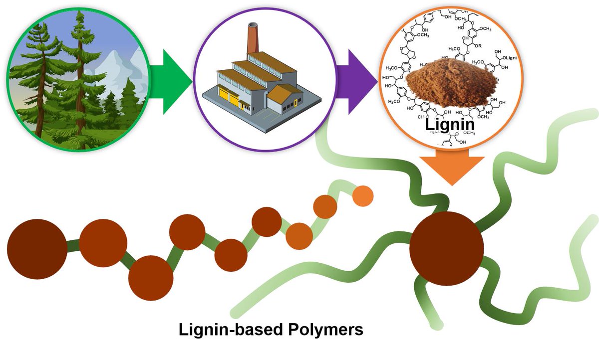 Мономеры лигнина. Древесный лигнин. Древесный лигнин. Лигнин гидролизный в гранулах. Переработка лигнина.