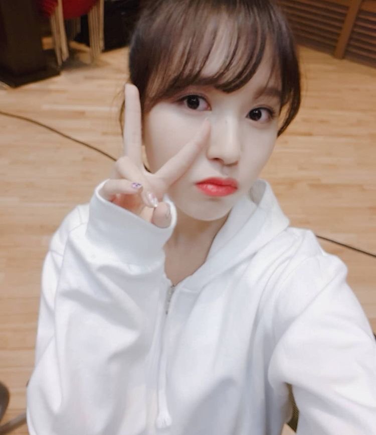 twiceminagreen's tweet photo. ミナちゃん日本でのWorldtourも欠席か…  寂しいけどゆっくり休んでね！
ほかのメンバーも少し心配…

#ミナ
#Worldtour 
#TWICE https://t.co/9oDn3U8XSk