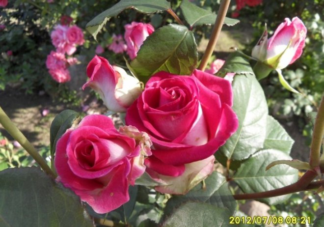 NEXT390's tweet photo. @1_ANB_1 @_Leks_s @veronikasmolkov @zhuchenya2015 @Pavelulybkin @magallanes_2015 @OBajpai @ASGOUN1 @NerissaaEmy @carlos01101966 @luckycatluckyy @SoniaKhan117 @ekaterina666tch @Laylabenghazi_F @ullu4all @tere_a77 @Efomara @Jadranka4love @DulceMa69072404 @jussi1988 @simki005 @Sylpete @MvcJJDrmxeTZd2X @pintsize73 @ziziosama2gmail @sosotam2 @semljnika @clomimine @damokle Привет. https://t.co/SXGnSgABtF