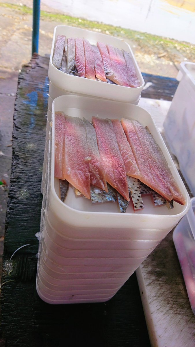 コノシロ コノシロ
