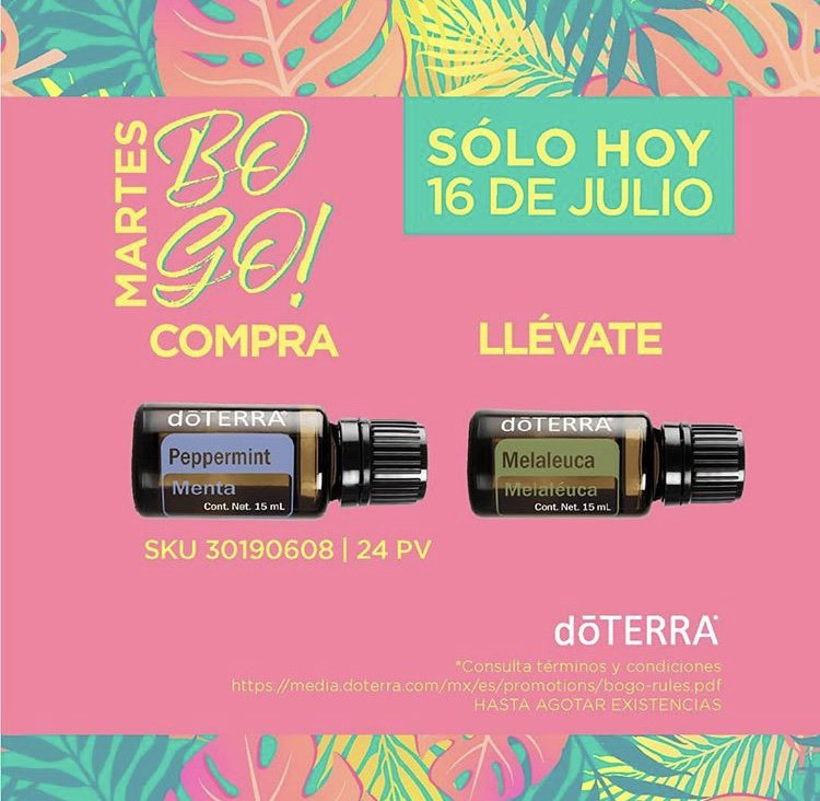 bodymindoils's tweet photo. #Bogosdoterra Mexico!! Compra menta y llévate melaleuca gratis!! #doTERRA #essentialoils #losquierotodos #lovemyoils  #bogos https://t.co/QgSSLtMDEj