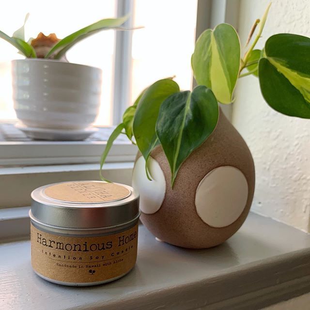 AlohaElixir's tweet image. Practicing a little 💆‍♀️💆‍♂️. #harmonioushome #madeinhawaii #alohaelixir ift.tt/30uxnyy