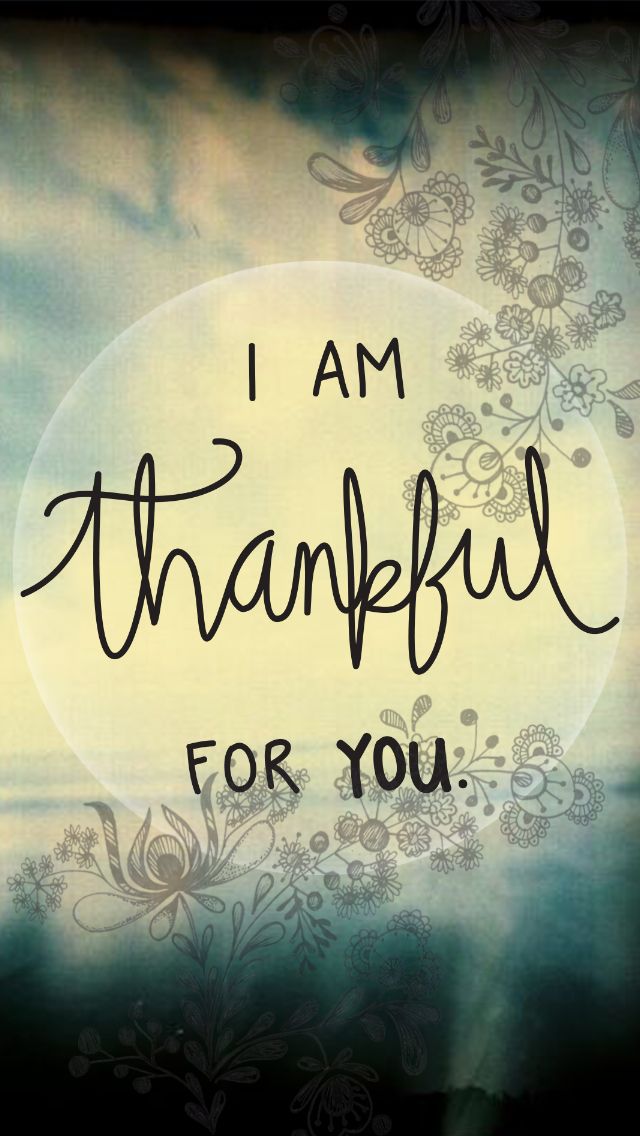 Mygreatredmare's tweet photo. #Cordele #GA #ThankfulHeart Thank you for donating to the Cordele GoFundMe campaign! @JoleeMockler @CarlaEWelch @bassetmamax2 @beachbum31350 @cicigrammy @meowtmarjorie #LauraRoberts #BrettBenham #SyWillaims 🙏❤️🙏 https://t.co/BEndMGmORI