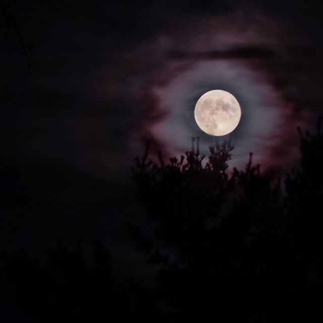 Alt_AnglesPhoto's tweet photo. Pretty things in the sky! https://t.co/mi251TcJ3D https://t.co/R8gUBYTPjX