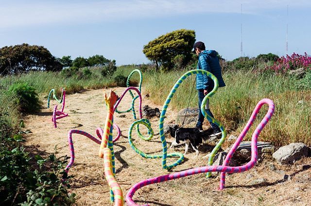 Weaving through some noodle/worm art. ift.tt/2NVGbfx