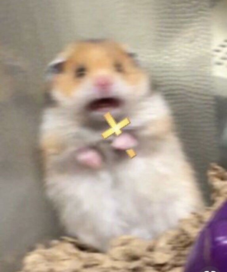 "Formicophilia: arousal by insects or by insects crawling on and nibbling the body."