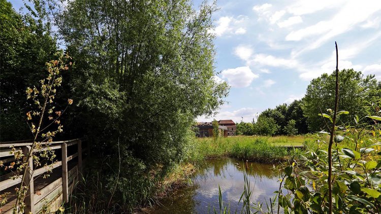 roubaix's tweet photo. #TeamParents Partez en expédition sonore au Jardin de Chlorophylle de #Roubaix avec un enregistreur en main https://t.co/qK9q9LDCP0 🔊 #JEP2019 @emaho_asso @ara_asso https://t.co/lFgt4dJCAv