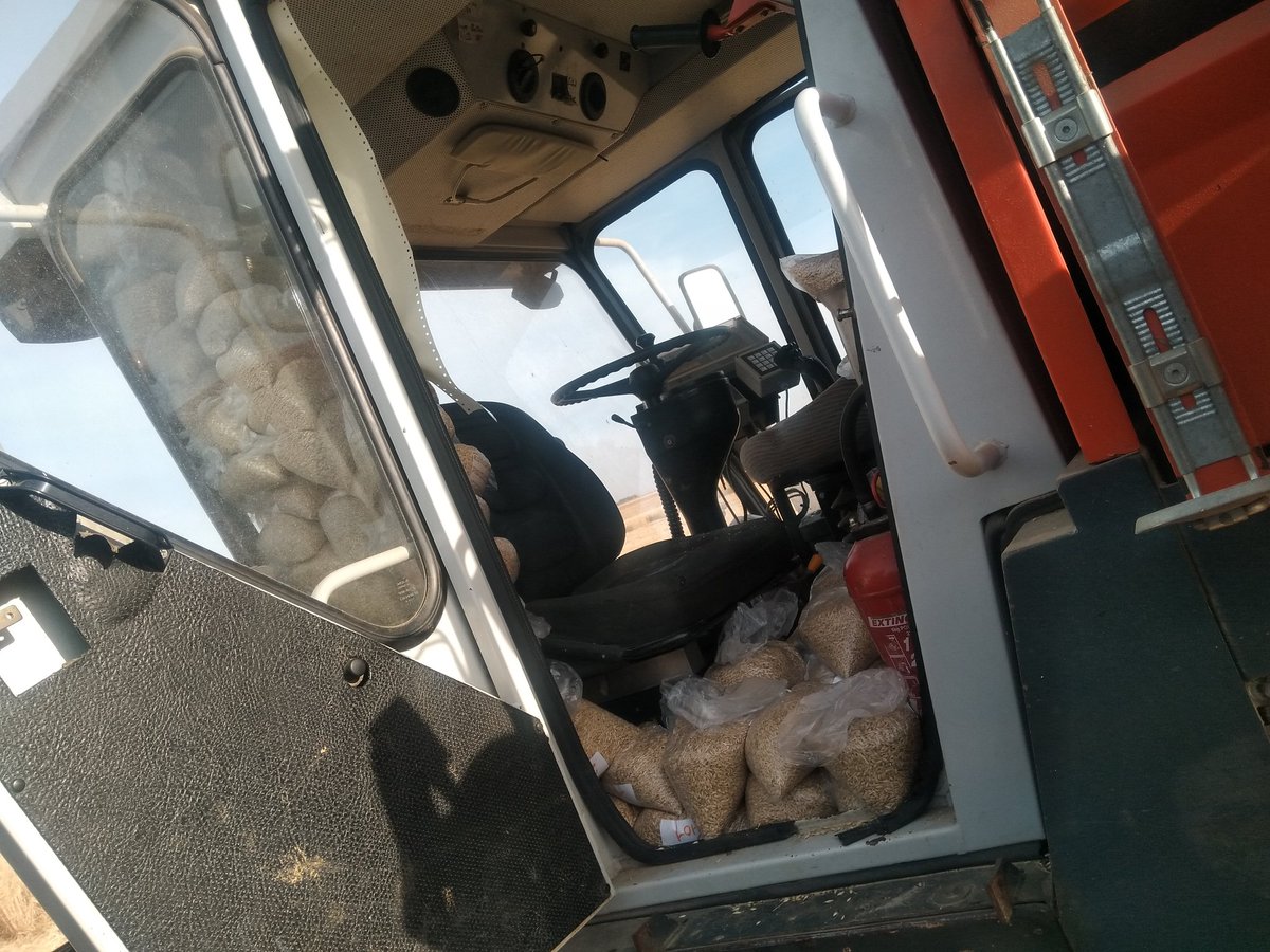 BenoitMallinger's tweet photo. Fin des essais variété orge de printemps sur le 52. Enseveli sous les sacs en cabine 😀😀
On va attaquer les blé maintenant, l'année est bizarre.
Récolte faite a 50% environ.
#moissonemc2 @coopEMC2 @fredonicolin https://t.co/J2is82IQ48