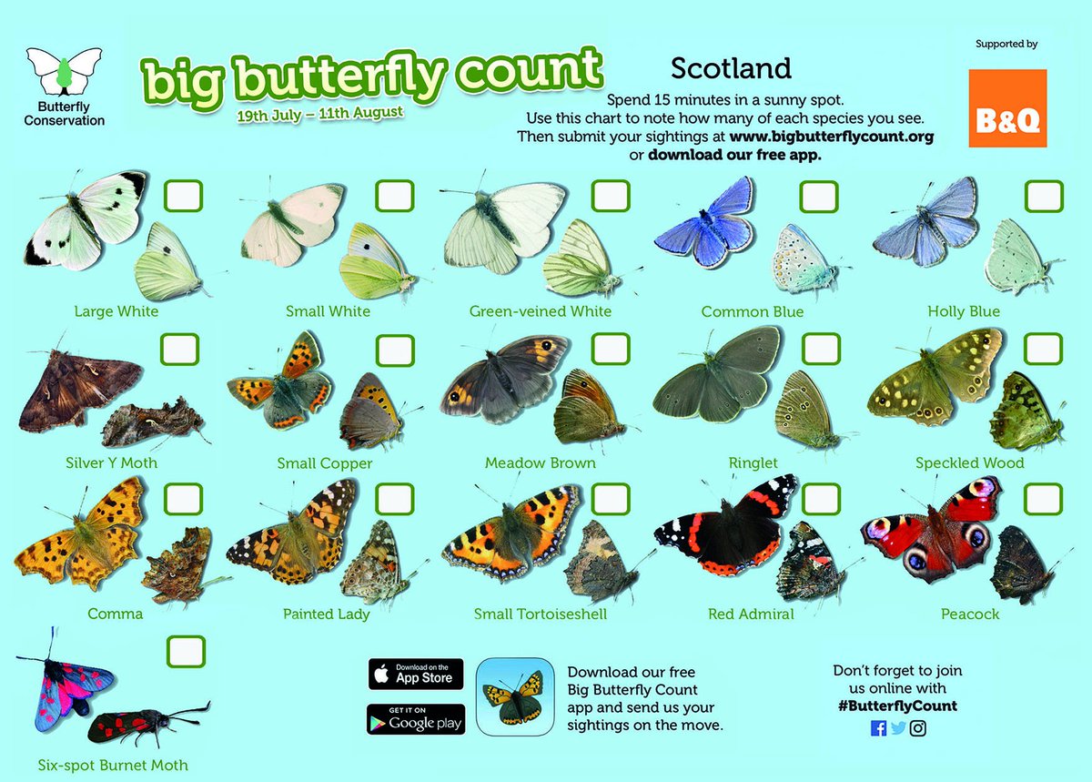 David Attenborough Butterfly Chart