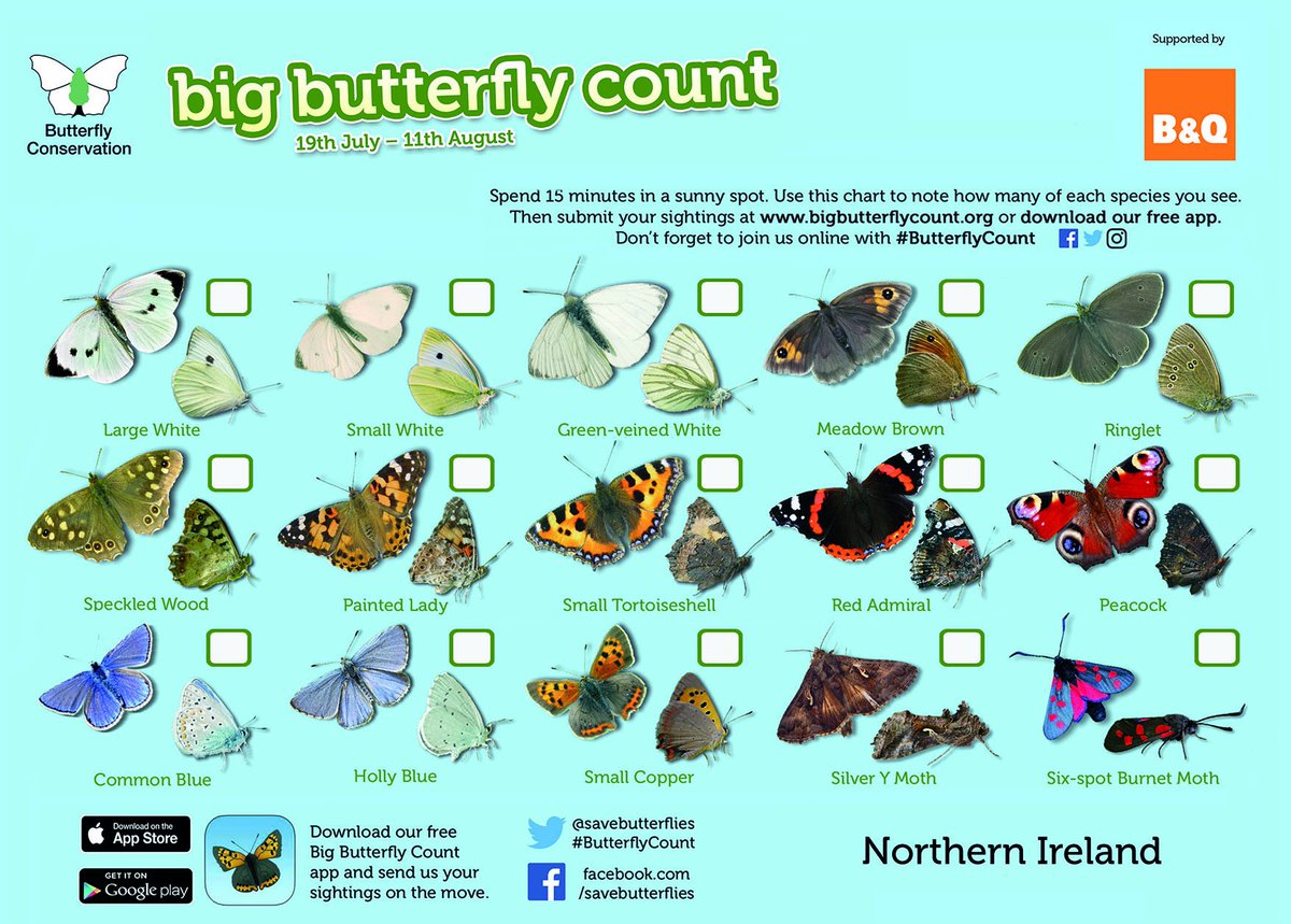 David Attenborough Butterfly Chart