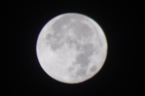 jchrisb123's tweet photo. @GrantWTSP @Caitlin_WTSP @RobFinnertyWTSP @Jabari_WTSP @JennyWTSP This morning’s Moon as seen from Tampa (Town & Country. #Sendto10 #Brightside #UpWith https://t.co/VafsXin1Xs