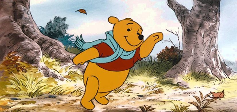 Passport 2 Success tweet media