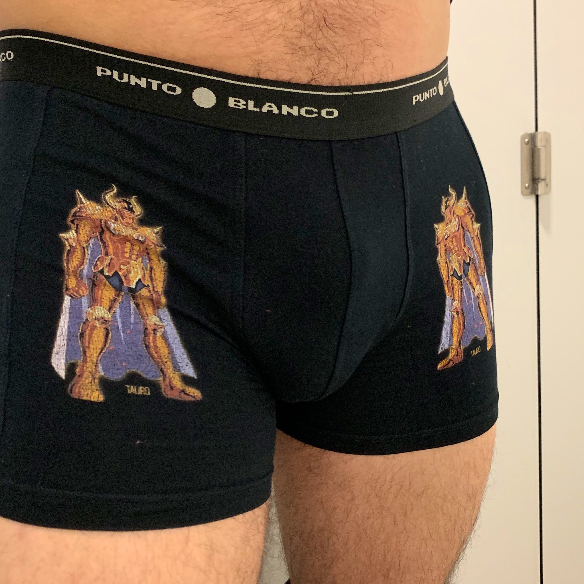 calzoncillos caballeros del zodiaco
