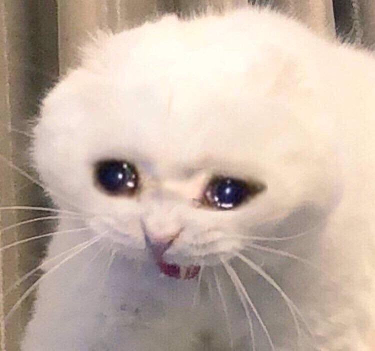 Yourmoonxtaeil's tweet photo. https://t.co/6mbZfJ9iDR