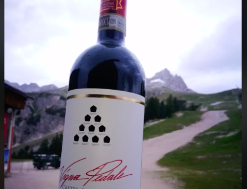 TorreventoWines's tweet photo. #VinoVip Cortina 2019, la XII biennale di @Civiltabere. Due giorni al centro del mondo del vino. Onorati di averne fatto parte!
#torreventowines #cortina #vinovipcortina https://t.co/O4k066tWjV