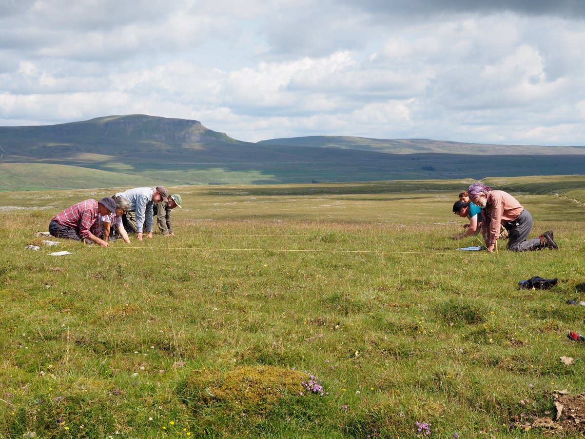 Thank you to everyone who took part on our National Plant Monitoring Scheme day last Friday. The aim of NPMS surveys is to collect data to provide an annual indication of changes in plant abundance and diversity. This year we surveyed on Sulber. <a href="/NaturalEngland/">Natural England</a>