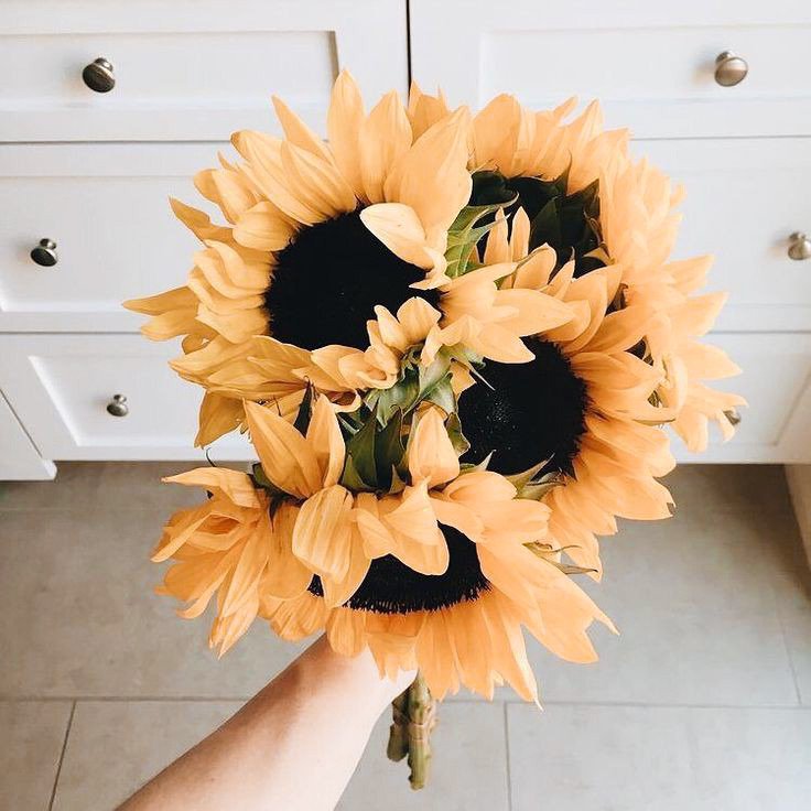❀✿ jungkook as flowers ❀✿