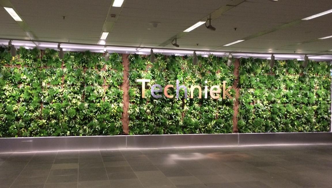 Wat een binnenkomer!🌿
#verticalgarden #greenwall #livingwall #plantwall #plants #plantsplantsplants #green #greenery #greenlove #officegreenery #botanical #iloveplants #livinggreen #houseplants #plantsmakepeoplehappy #houseplantclub #groenewand #plantenwand