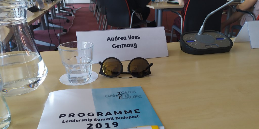 WkHs2016's tweet photo. Part of @CancerEurope #ycesummit #youthchangingeurope #xgegenkrebs @BurdaStiftung @DSfjEmK https://t.co/WCv74TjQ7P