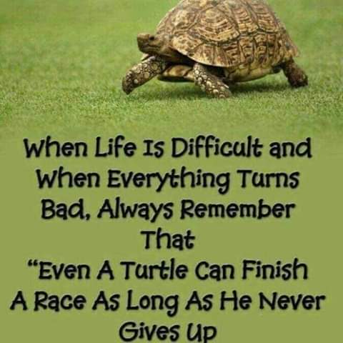 Don't give up 👍
