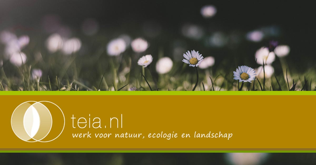 We hebben weer een mooie lijst met vacatures op onze site staan! -> teia.nl/vacatures/

O.a. <a href="/BosgroepZuidNL/">Bosgroep Zuid NL</a>, @StBargerveen, @Natuurmonument en @Kragtenadvies zijn op zoek naar nieuwe collega's! Kijk voor het overzicht aan vacatures op: -> teia.nl/vacatures/