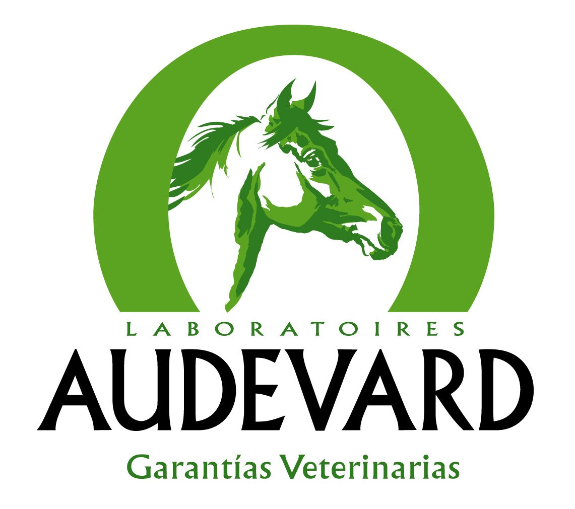VetsWithHP's tweet photo. Thank you very much Audevard for your support, helping improving lives! Audevard first learned about the Vets with Horsepower project in 2017 and immediately decided to help and support. With their help, we are lecturing in Porto today and Villa Real tomorrow! #Horsepower https://t.co/qsneyKRx3V