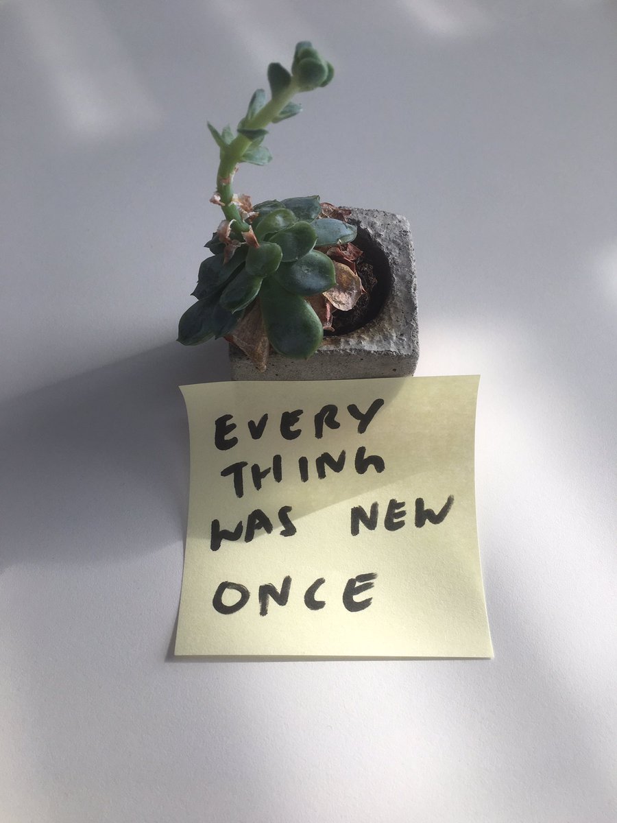 proverbproject's tweet image. Everything was new once #plantproverb