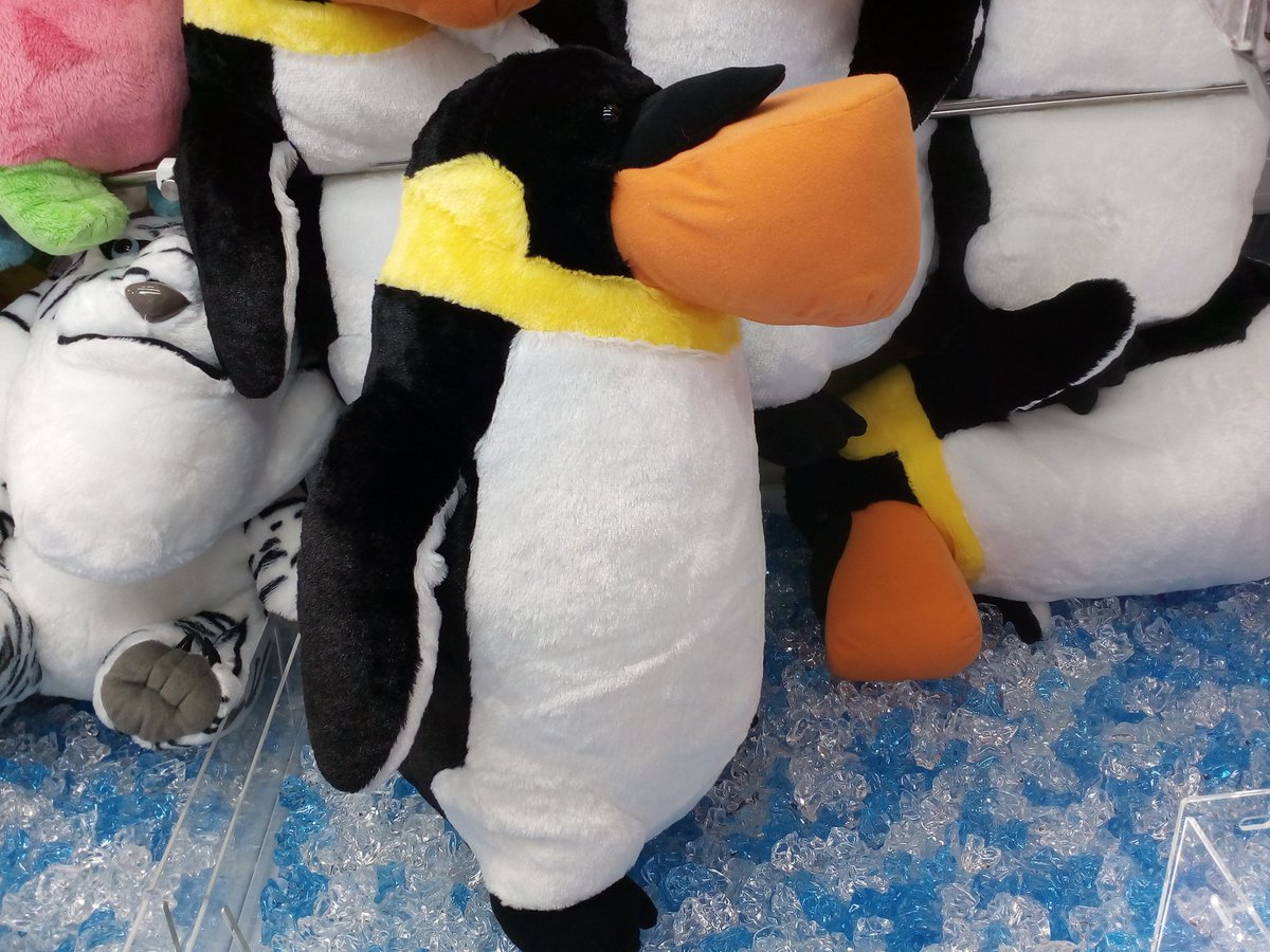 ラウンドワン池袋店 景品情報 Twitterren ２階登場中 シャクレルプラネット ペンギン のぬいぐるみが新登場 正面から見るととってもシュール なんだかかわいいのでぜひゲットしてくださいね