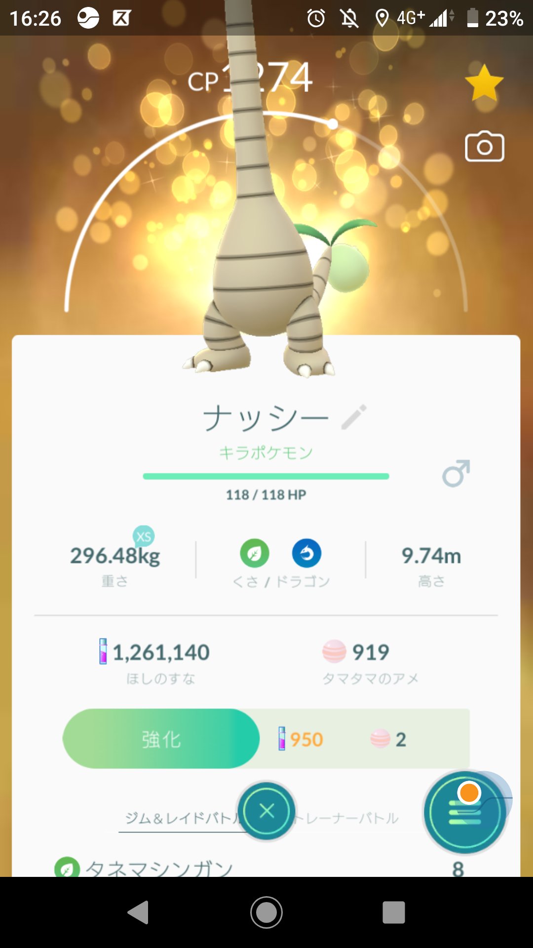 Dd Xxポケモンgo垢tl40 2 キラフレンドじゃないやつと交換したらなんかキラっわ ポケモンgo キラポケモン T Co Cqlyjf67lb Twitter