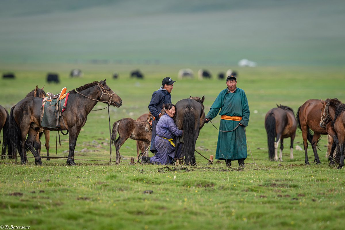 Зэлэн дээр..
Баянхонгор. Галуут.